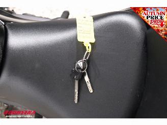 Kawasaki Ninja 650 ABS Arrow picture 19