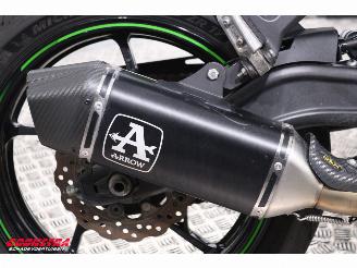 Kawasaki Ninja 650 ABS Arrow picture 16