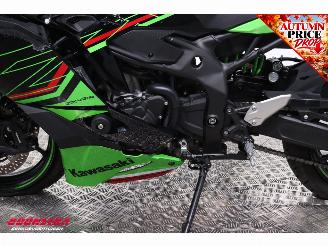 Kawasaki  Ninja ZX-4RR ABS Akrapovic 2.984 km! picture 11