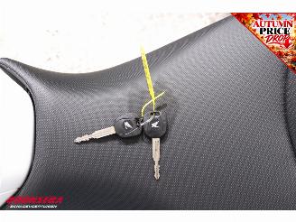 Honda  NC 750X DCT C-ABS G.P.R. Heizgriffe picture 19