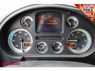 DAF LF 45 .160 Aut. Koffer Dhollandia Euro 5 320.106 km! picture 13