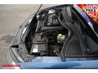 Volkswagen Polo 1.4 TSI DSG BlueGT 5-drs Cruise Navi Clima PDC picture 9