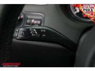 Volkswagen Polo 1.4 TSI DSG BlueGT 5-drs Cruise Navi Clima PDC picture 22
