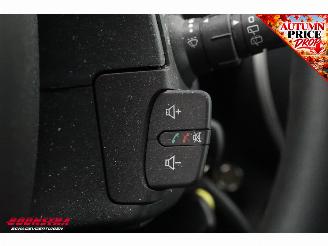 Renault Kangoo 1.5 Blue dCi 80 Comfort AHK Cruise Navi Airco Bluetooth picture 17