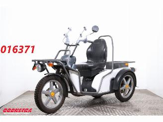 Vrakbiler auto Kyburz 2008 Zwitserland DXP WASSER 2021/11