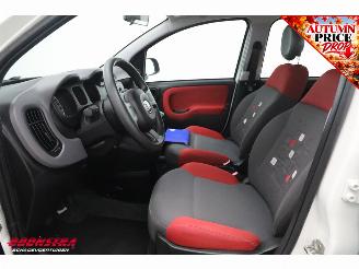 Fiat Panda 1.2 Edizione Cool Airco picture 8