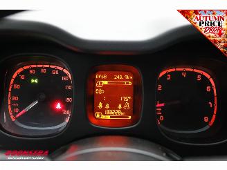 Fiat Panda 1.2 Edizione Cool Airco picture 12
