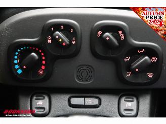Fiat Panda 1.2 Edizione Cool Airco picture 14