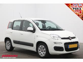Fiat Panda 1.2 Edizione Cool Airco picture 2