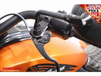Indian  Challenger Dark Horse Navi Bluetooth Cruise TAB Exhaust picture 12