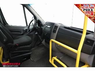 Volkswagen Crafter 2.0 TDI Tribus L2H2 8/9-Pers. Behindertengerecht Cruise Airco picture 14