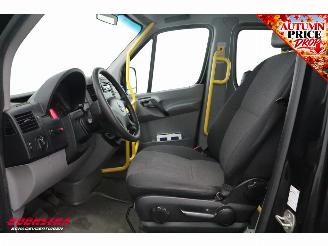 Volkswagen Crafter 2.0 TDI Tribus L2H2 8/9-Pers. Behindertengerecht Cruise Airco picture 17