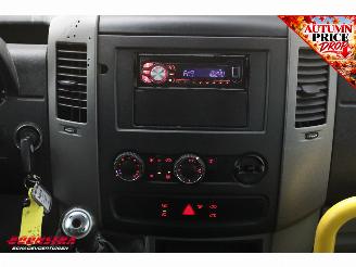 Volkswagen Crafter 2.0 TDI Tribus L2H2 8/9-Pers. Behindertengerecht Cruise Airco picture 16