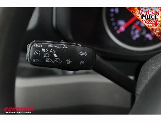 Volkswagen Crafter 2.0 TDI Tribus 9-Pers. Behindertengerecht Airco picture 23