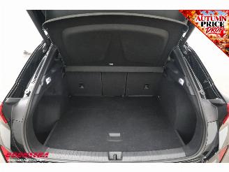 Cupra Terramar VZ Performance 2.0 TSI Aut. Sennheiser ACC Memory SHZ LrHZ 360° PDC AHK picture 41