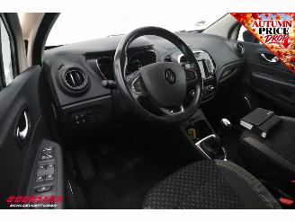 Renault Captur 0.9 TCe Intens Cruise Navi Clima Apple/Android Camera PDC picture 18