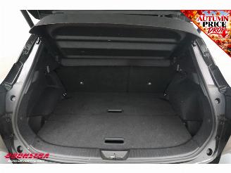 Nissan Qashqai 1.3 MHEV Xtronic Business Executive ACC Navi Clima SHZ LrHZ Leder Memory Apple/Android Camera PDC picture 45