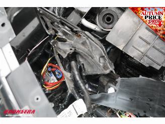 Nissan Qashqai 1.3 MHEV Xtronic Business Executive ACC Navi Clima SHZ LrHZ Leder Memory Apple/Android Camera PDC picture 19