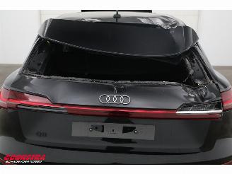 Audi Q8 55 quattro Advanced Edition 115 kWh B&O Pano Navi SHZ Virtual Apple/Android Camera PDC picture 8