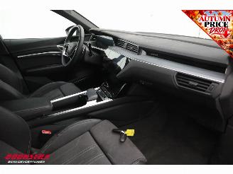 Audi Q8 55 quattro Advanced Edition 115 kWh B&O Pano Navi SHZ Virtual Apple/Android Camera PDC picture 11