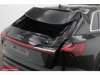 Audi Q8 55 quattro Advanced Edition 115 kWh B&O Pano Navi SHZ Virtual Apple/Android Camera PDC picture 9