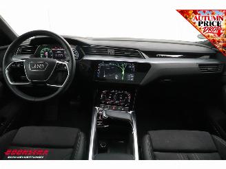 Audi Q8 55 quattro Advanced Edition 115 kWh B&O Pano Navi SHZ Virtual Apple/Android Camera PDC picture 12