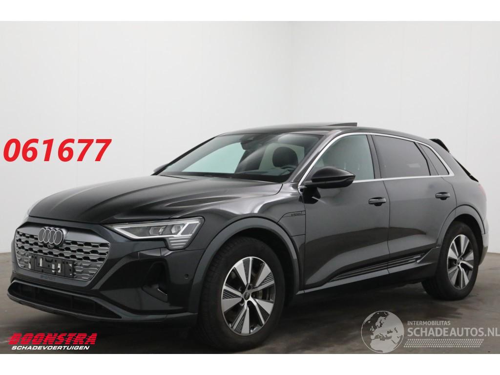 Audi Q8 55 quattro Advanced Edition 115 kWh B&O Pano Navi SHZ Virtual Apple/Android Camera PDC