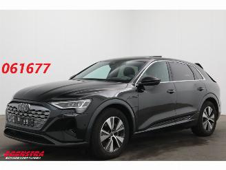 uszkodzony samochody osobowe Audi Q8 55 quattro Advanced Edition 115 kWh B&O Pano Navi SHZ Virtual Apple/Android Camera PDC 2024/12
