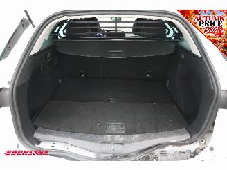 Renault Mégane Estate 1.3 TCe Limited Cruise Navi Clima Bluetooth PDC AHK picture 25