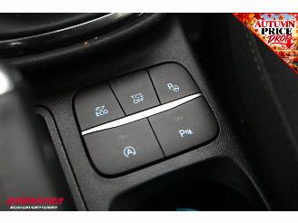 Ford Fiesta 1.0 EcoBoost Titanium ACC Navi Clima Apple/Android Camera PDC picture 27