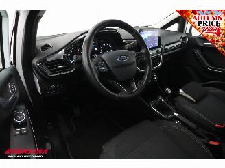 Ford Fiesta 1.0 EcoBoost Titanium ACC Navi Clima Apple/Android Camera PDC picture 19