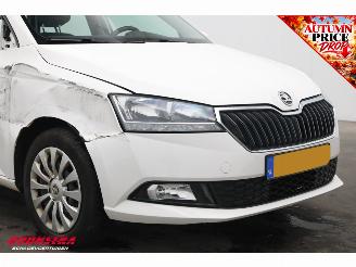 Skoda Fabia Combi 1.0 TSI Ambition ACC Navi Apple/Android PDC AHK Airco picture 9