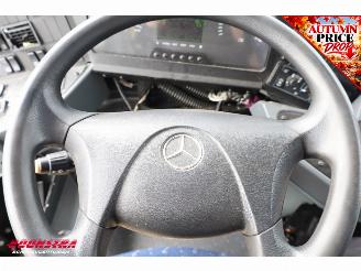 Mercedes  Intouro L 66-Pers. 4X2 Euro 6 picture 27