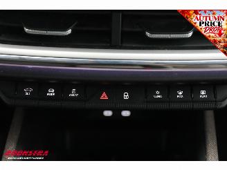 Skoda Enyaq 80 ACC Navi SHZ Apple/Android AHK Camera PDC Clima picture 38