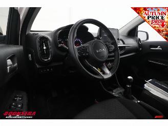 Kia Picanto 1.0 DPi DynamicLine Cruise Camera Apple/Android Airco picture 19