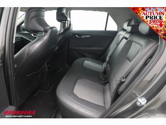 Kia e-Niro DynamicLine 64.8 kWh Camera LED Clima Apple/Android Navi picture 18