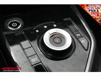 Kia e-Niro DynamicLine 64.8 kWh Camera LED Clima Apple/Android Navi picture 24