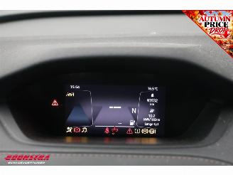 Skoda Enyaq 80 First Ed. Memory Leder ACC LrHZ Camera Matrix SHZ Navi Clima picture 33