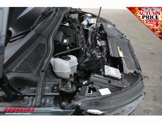 Skoda Enyaq 80 First Ed. Memory Leder ACC LrHZ Camera Matrix SHZ Navi Clima picture 8