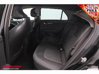 Kia Niro Light Edition 64.8 kWh ACC AHK Camera LED Clima Navi picture 22
