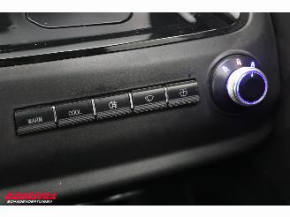 THOGO  Citycar Pano Camera Leder 561 km! picture 14