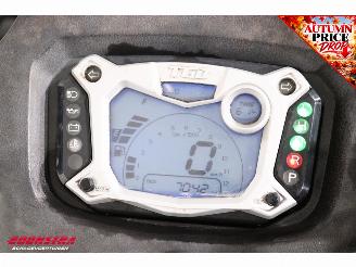  Blade 550i LT IRS 4x4 Winde picture 13
