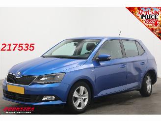 Damaged car Skoda Fabia 1.0 TSI Clever Cruise Navi PDC Bluetooth Airco 2018/8