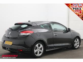 Renault Mégane 1.4 TCe Dynamique Cruise Camera Clima LED picture 3