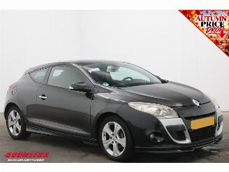 Renault Mégane 1.4 TCe Dynamique Cruise Camera Clima LED picture 2