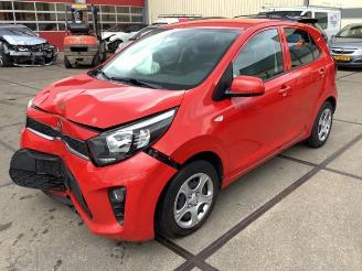 Schadeauto Kia Picanto Picanto (JA), Hatchback, 2017 1.0 12V 2017/7
