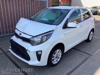 Kia Picanto Picanto (JA), Hatchback, 2017 1.0 12V picture 1