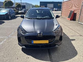 damaged passenger cars Mazda 2  2025/11