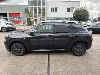 Citroën C4 cactus  picture 4