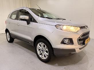 škoda osobní automobily Ford EcoSport 1.0 Ecosport Titanium 2014/9